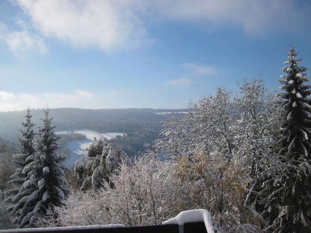 לאוטרבאך Appartementhaus Schwarzwaldblick מראה חיצוני תמונה